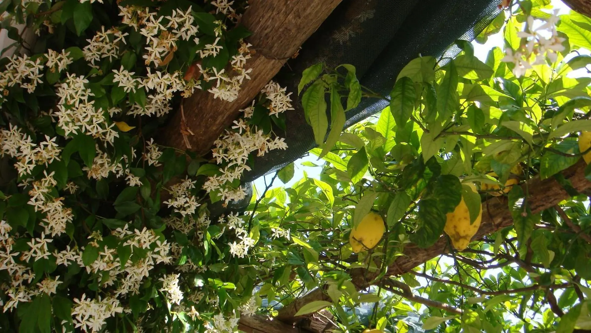 Villa Rina Amalfi