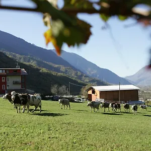 Stella Orobica , Albosaggia Italien